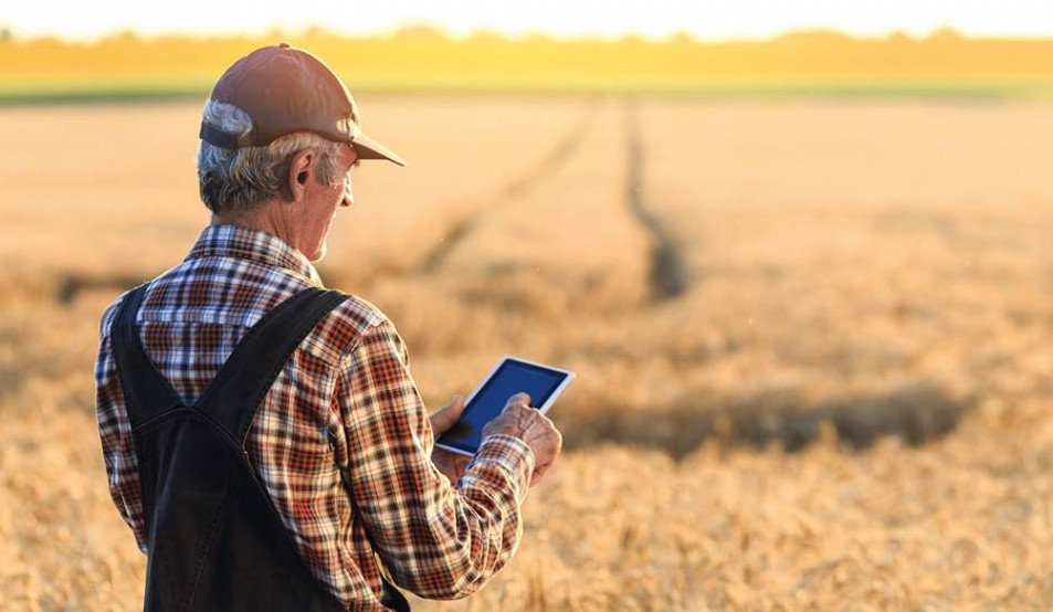 фермер з планшетом на полі