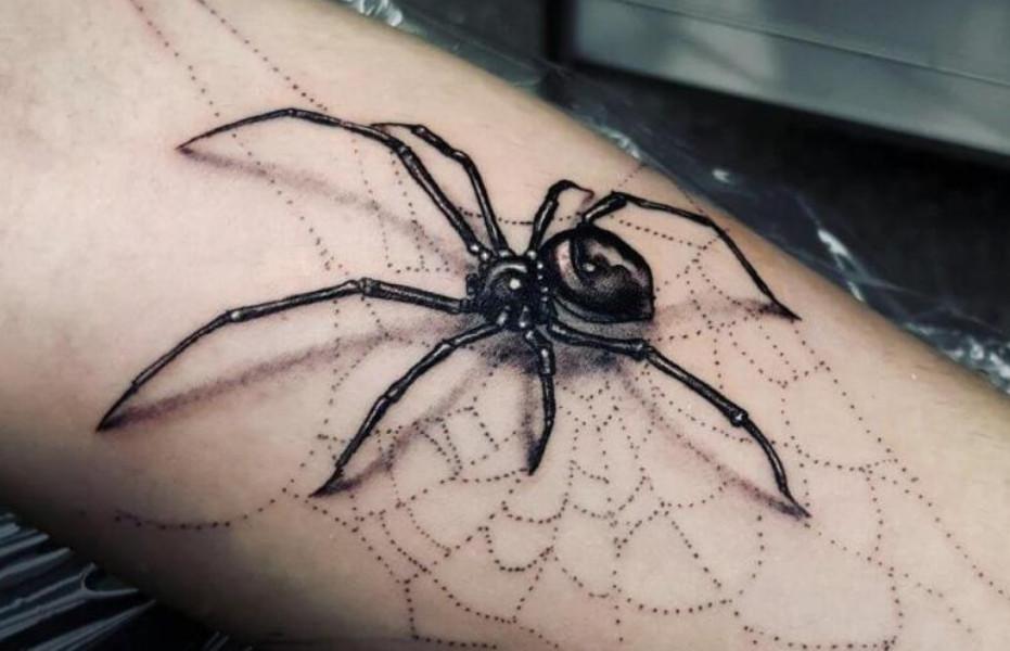 3d3-tatu-bizmag-com-ua