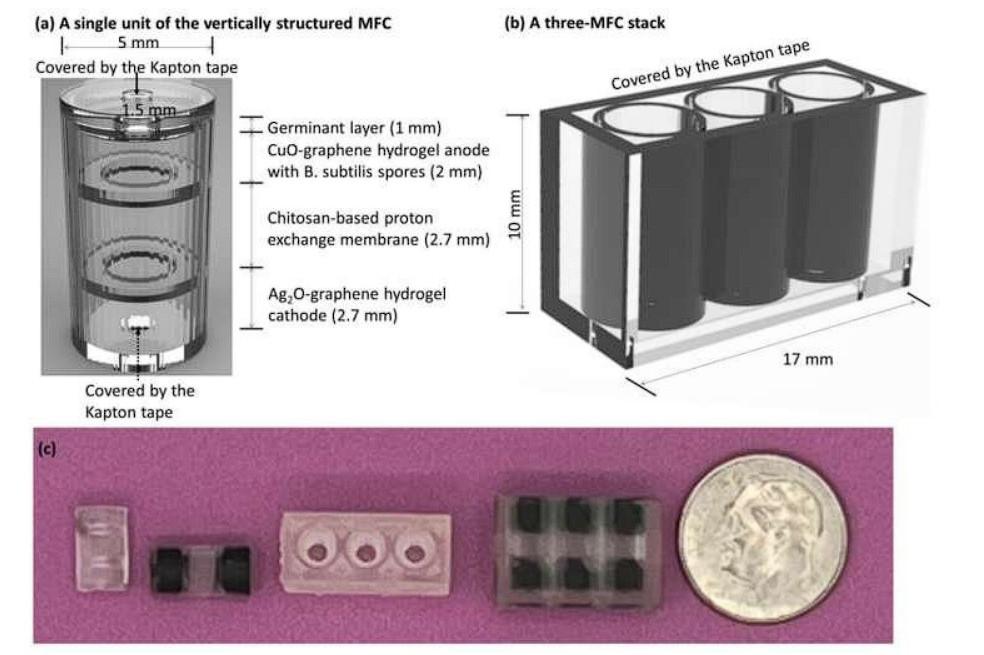 biobatareya-bizmag-com-ua